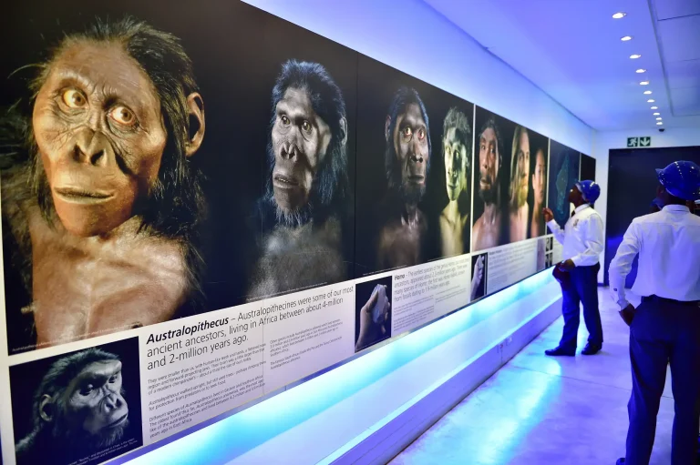 First Time in Gauteng? 6 Things to Do on Your First Visit Visitors at the Maropeng exhibition at the Cradle of Humankind, looking at a wall of early human reconstructions