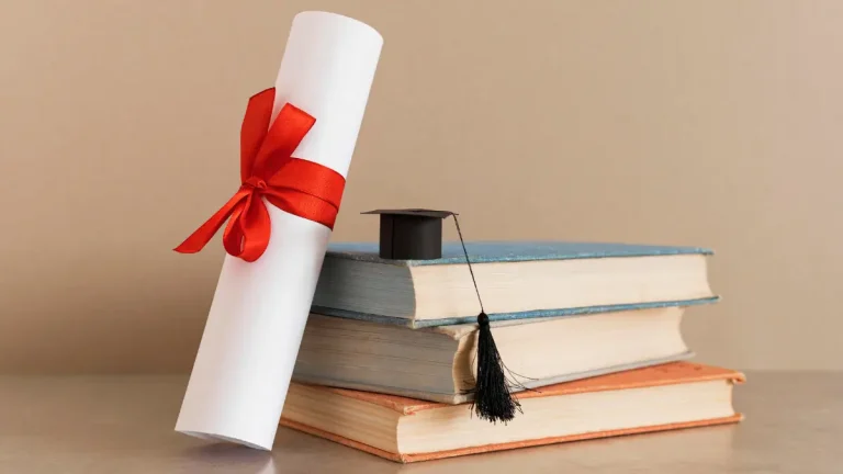 Government vs Private Bursaries: Which One To Choose?