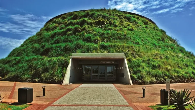The Cradle of Humankind: Explore This UNESCO Site