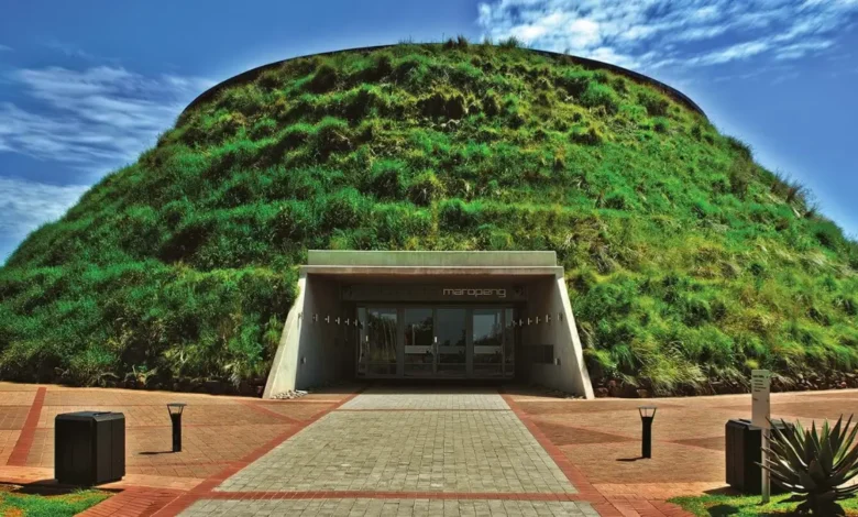 The Cradle of Humankind: Explore This UNESCO Site