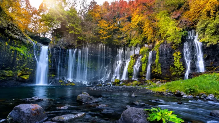 The Healing Power of Nature: Explore This Phenomenon