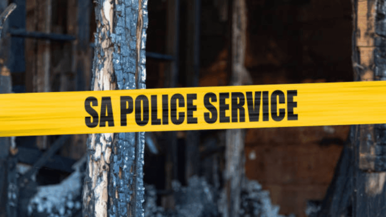 Gauteng Legislature Applauds Police for Preventing Criminal Activities in Soweto