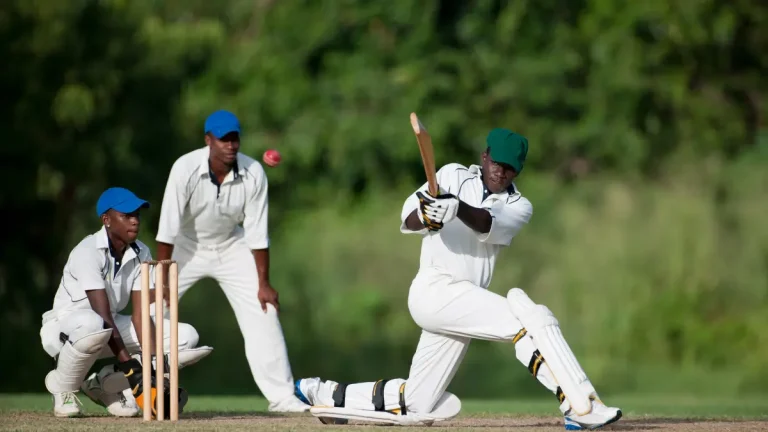 A Look at Gauteng’s Top Cricket Clubs