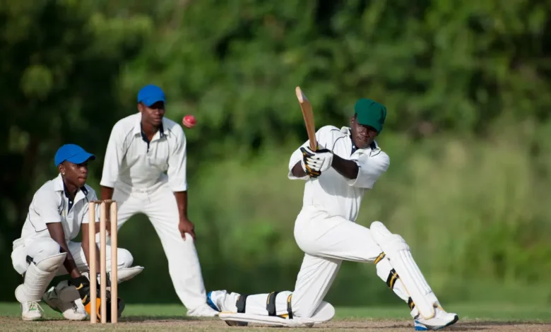 A Look at Gauteng’s Top Cricket Clubs