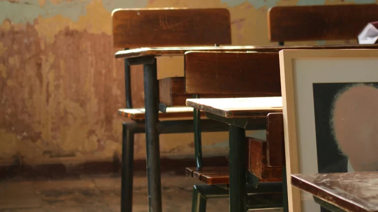 Gauteng Education Crisis: Principal Probe, School Fires, and Budget Battles Explained