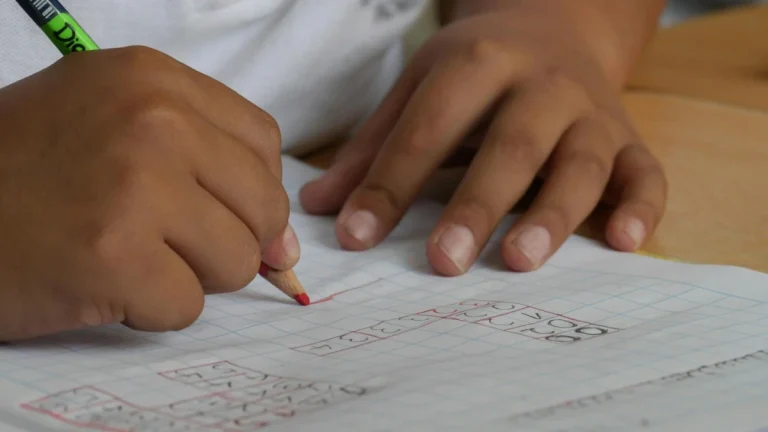 Gauteng School Curriculum in Chaos After Delay – Mid-Year Review Planned