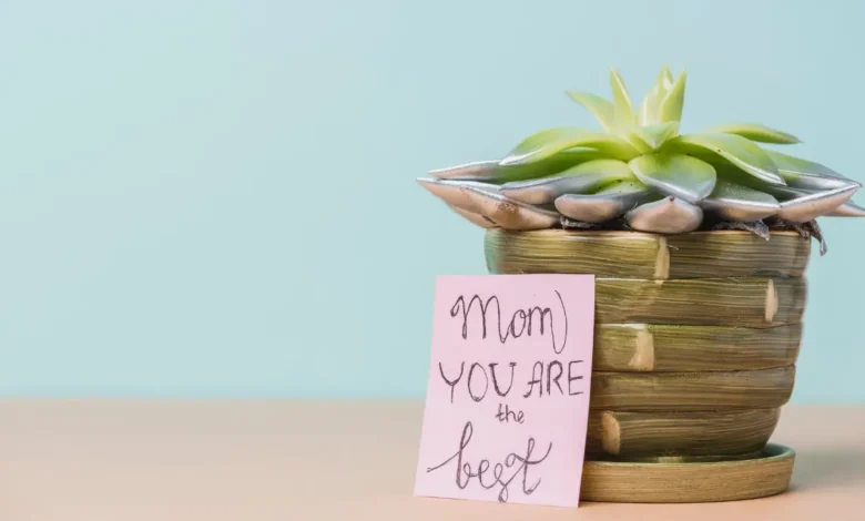 Top 30 Messages for Mother’s Day 2025: Loving Words to Celebrate Mom