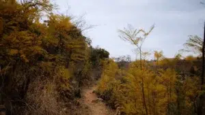 Hiking Trail