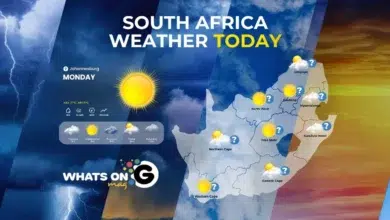 Weather Forecast