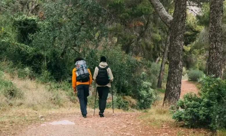 People Hiking - Men trekking in nature