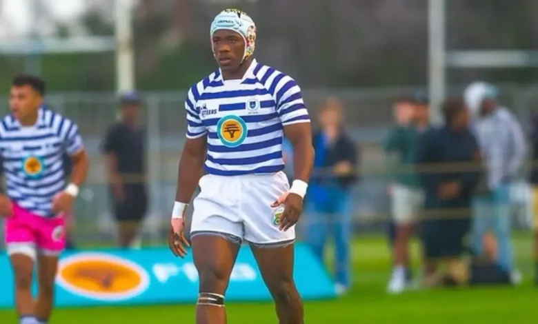 Springbok Camp Welcomes New Faces Ahead of 2025 International Rugby Season