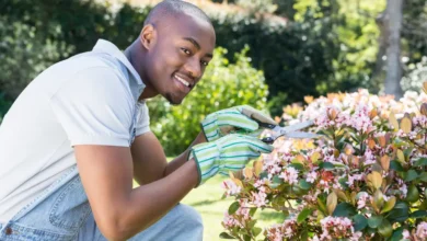 gardening mental health