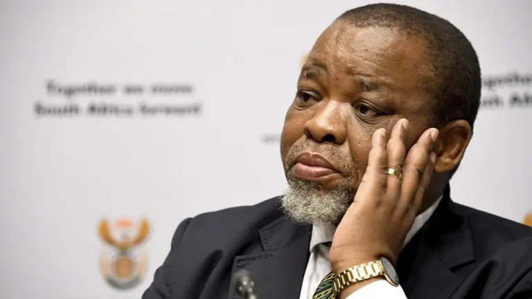 Leadership Abroad: Gwede Mantashe Acts as President