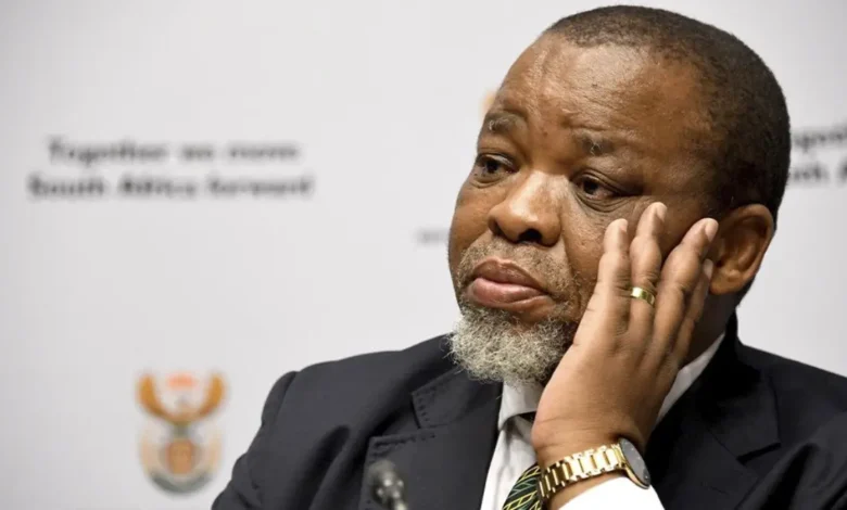 Leadership Abroad: Gwede Mantashe Acts as President