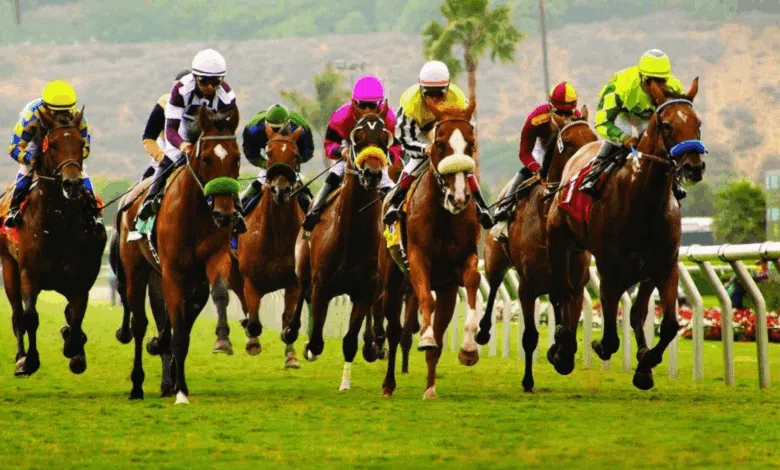 Horse Racing in Gauteng