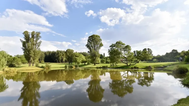 Win Tickets to NIROX Winter Sculpture Fair