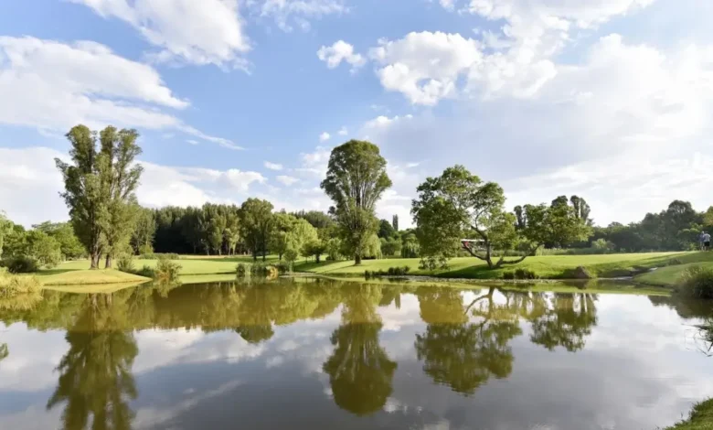 Win Tickets to NIROX Winter Sculpture Fair