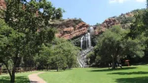 Walter Sisulu Botanical Gardens
