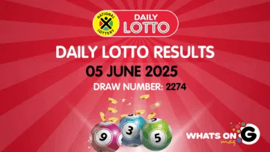 daily lotto results