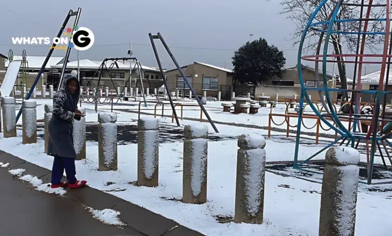 Weather Alert: Freezing weather grips NC and Gauteng
