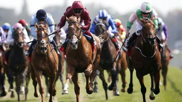 Horse Racing Fixtures in Gauteng: Betting Tips and Events