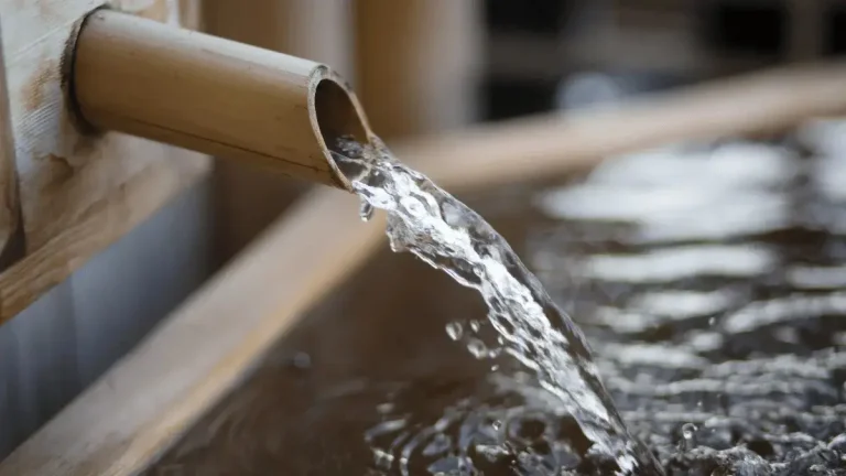 How to Survive the Gauteng Water Crisis: Storage, Saving and Smart Usage Tips for 2025