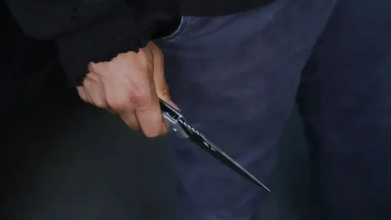 School Violence in Gauteng: Grade 11 Learner Killed in Stabbing Incident