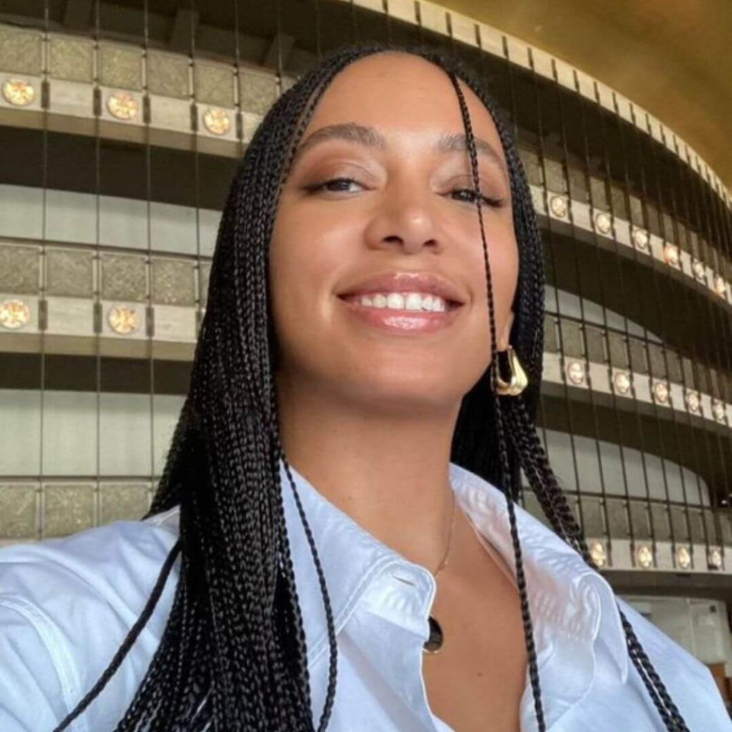 Top 10 Protective Hairstyles to Try in July: The Braids Edition