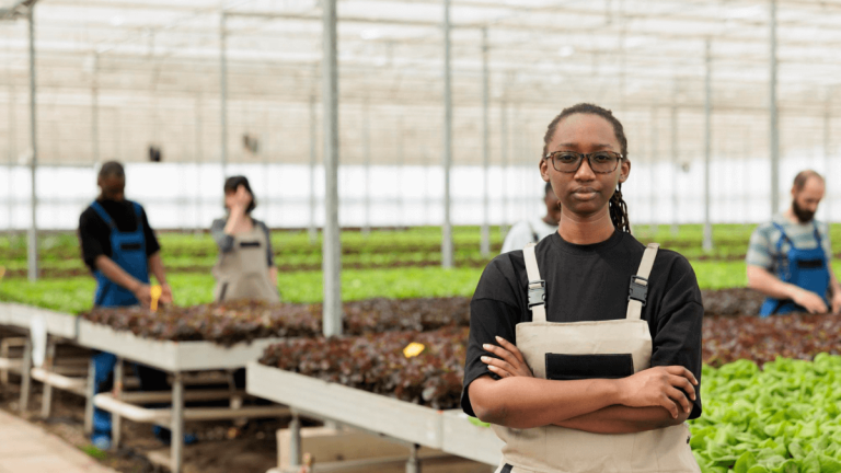 Bursaries for Agriculture Students