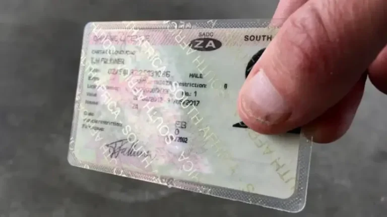 Calls Grow to Extend South African Driver’s License Validity Due to Issuing Delays