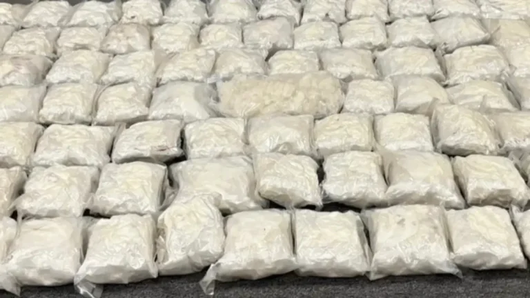 Gauteng Authorities Bust Midrand Drug Operation, Seize Meth and Dagga