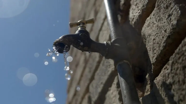 High Court Orders Water Restoration for Joburg NGOs