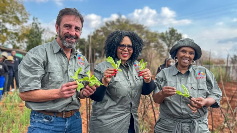 How Vegetable Gardens at Gauteng Clinics Are Changing Lives