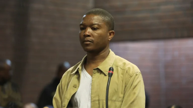 Likhona Fose Case: No Evidence Found Against Mduduzi Mnisi, Says Investigator