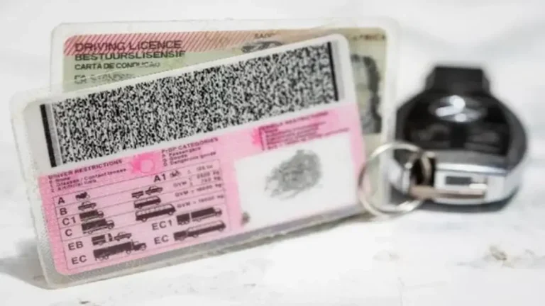 Limited Validity on Driving Licence Cards Fails to Improve Road Safety, Say Experts