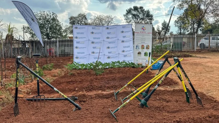 One Clinic, One Garden: A Fight Against Disease and Hunger in Tshwane
