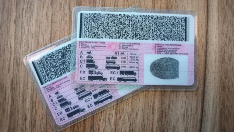 OUTA Calls for South African Driver’s Licences to Be Valid for 10 Years to Improve Efficiency
