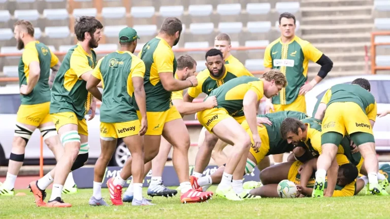Springboks vs Italy: What the Stats Say Ahead of Test Match