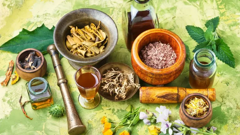 The Role of Traditional Medicine in Modern Gauteng Health Choices