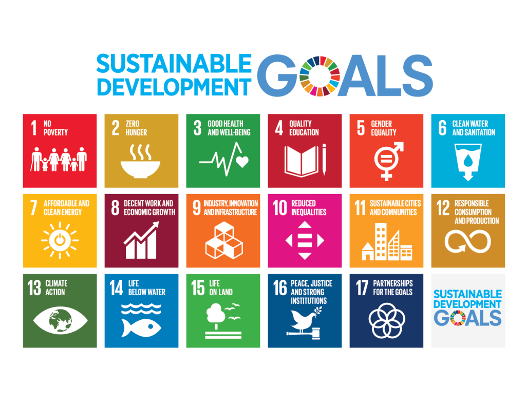 The UN's Sustainable Development Goals (SDGs) Framework