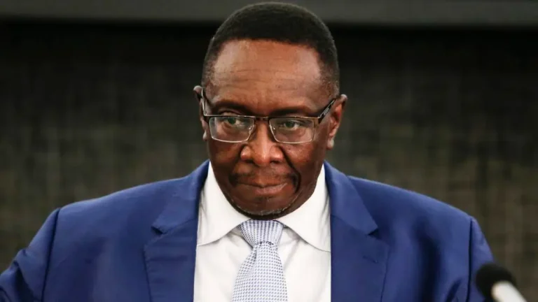 Justice Mlambo Appointed Deputy Chief Justice – What It Means for South Africa