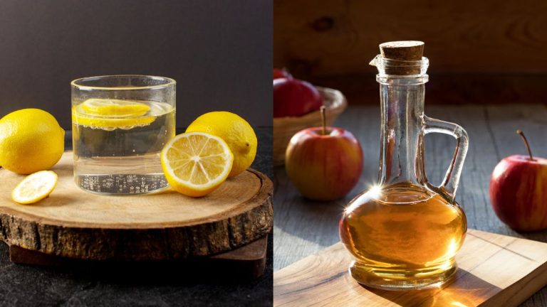 Lemon Water vs Apple Cider Vinegar: Which is More Effective for Weight Loss?