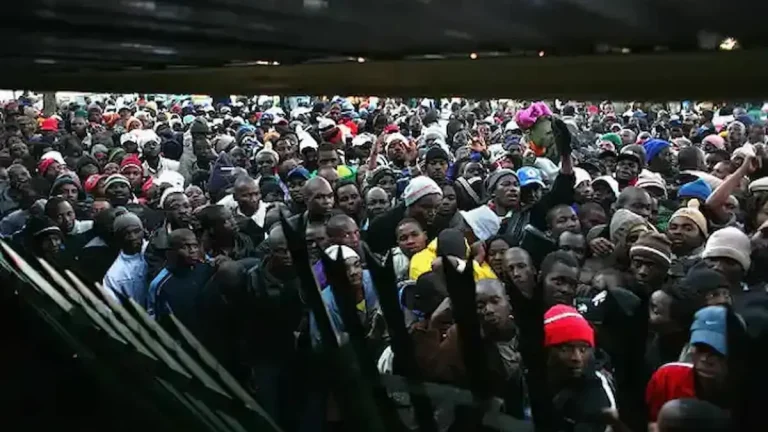 More Than 51 000 Deportations Recorded by Home Affairs in 2025