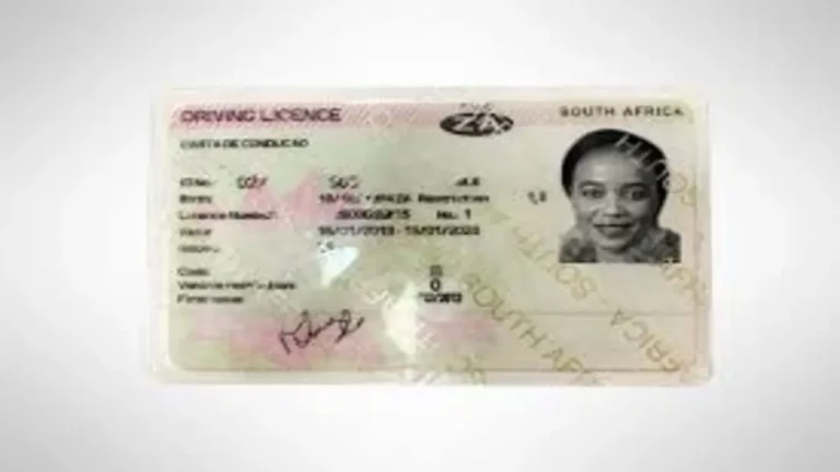 NATIS Online Driving License Booking Limited to Two Provinces