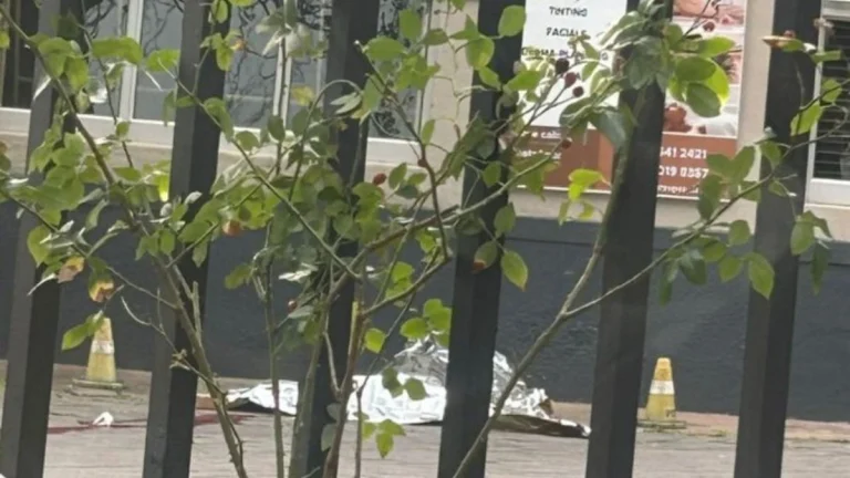 Rosebank Shooting: Police Confirm Body Found on Bath Avenue