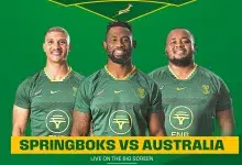 Springbok Viewing Spots in Jozi: From Midrand to Soweto