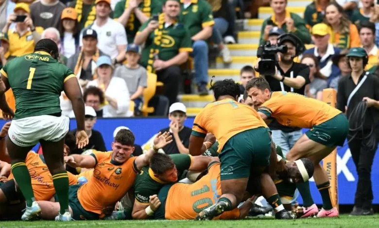 Springboks Plots Secret Plan to Reclaim Line-Out Supremacy Against Wallabies