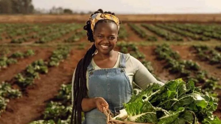 Top 10 Women Transforming Agriculture and Farming in South Africa