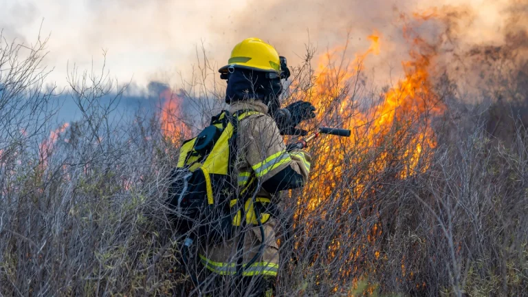 Tshwane Issues Warning: No Fires Allowed Under City Bylaws