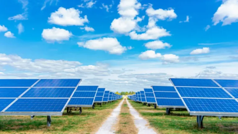 What Eskom and City Power’s Push for Solar Registration Means for You